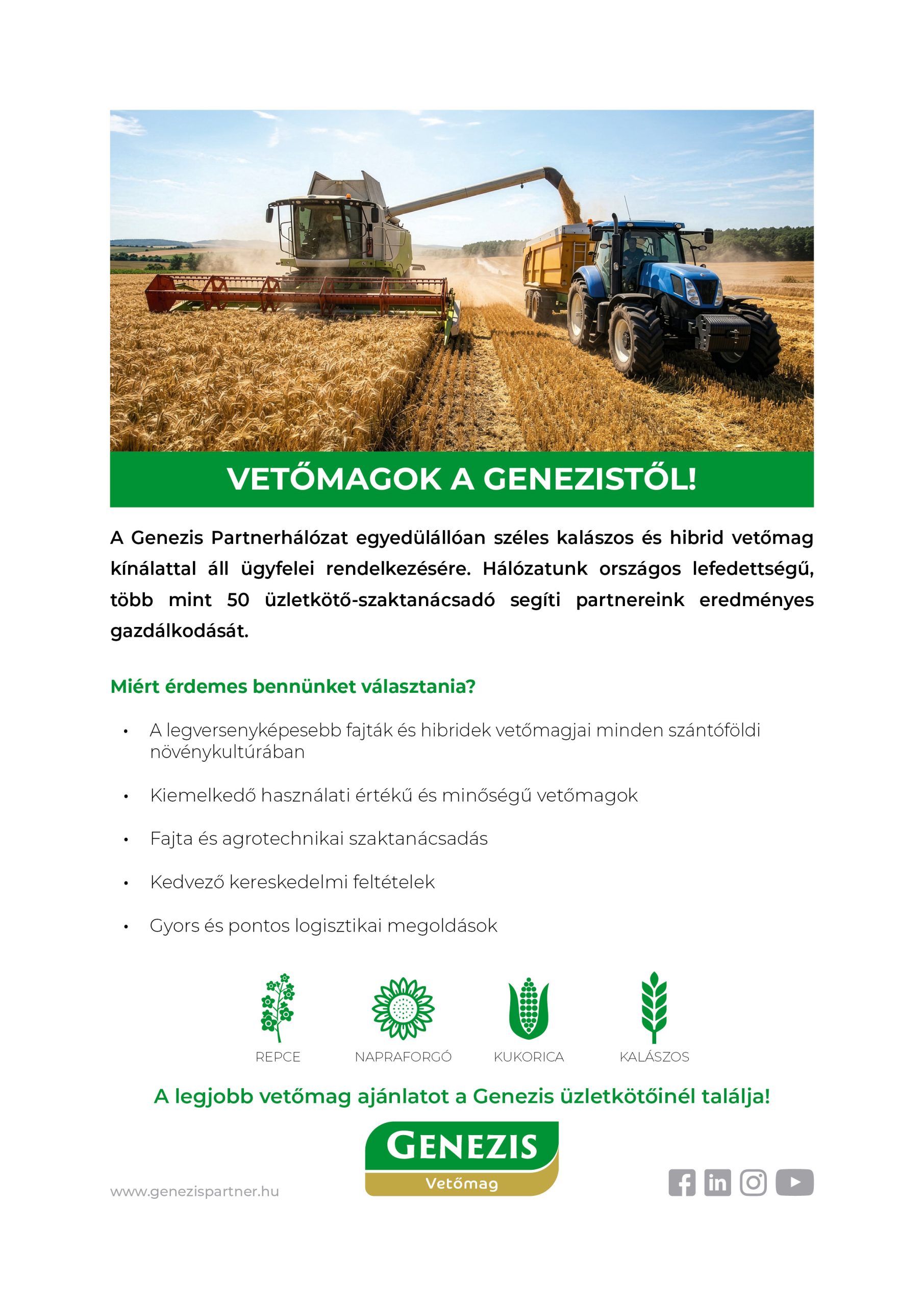Vetőmagok
