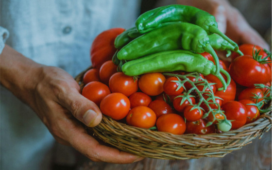 Paradicsom, paprika csúcsrothadás elleni megoldások Genezis termékek segítségével